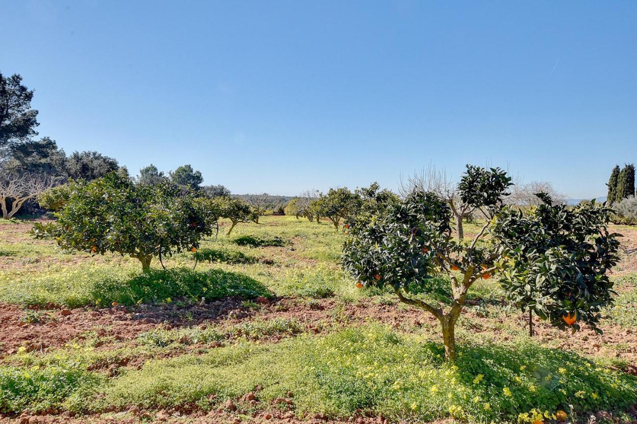 Villa Monsebo By Slow Villas Algaida  Esterno foto